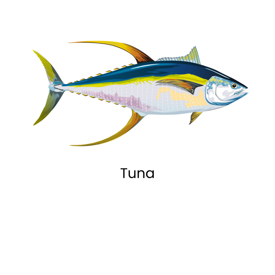 The Custom Captain Product