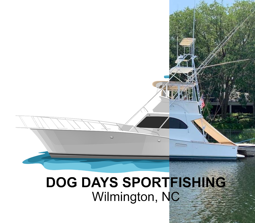 The Custom Captain Product