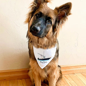 Custom Pet Bandana
