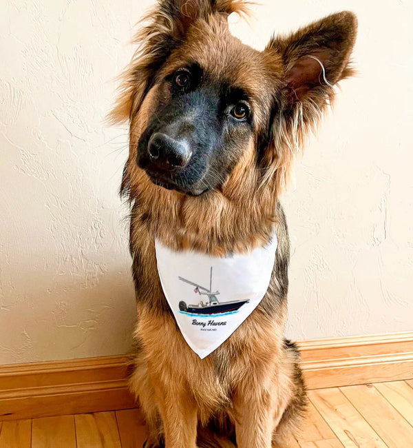 Custom Pet Bandana